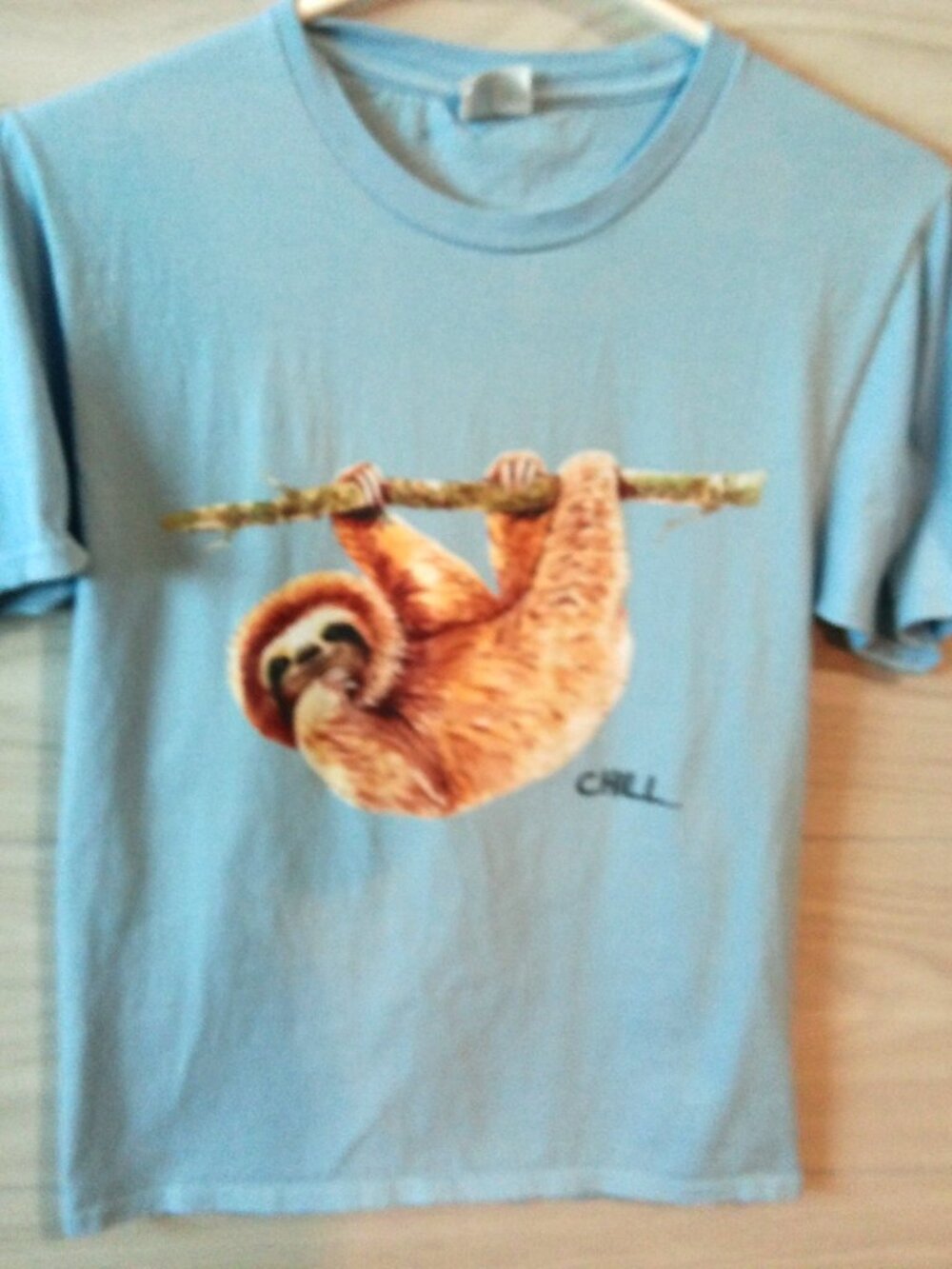 Sloth Tee Shirt Youth Size Small Light Blue Short Sleeves by Port & Company